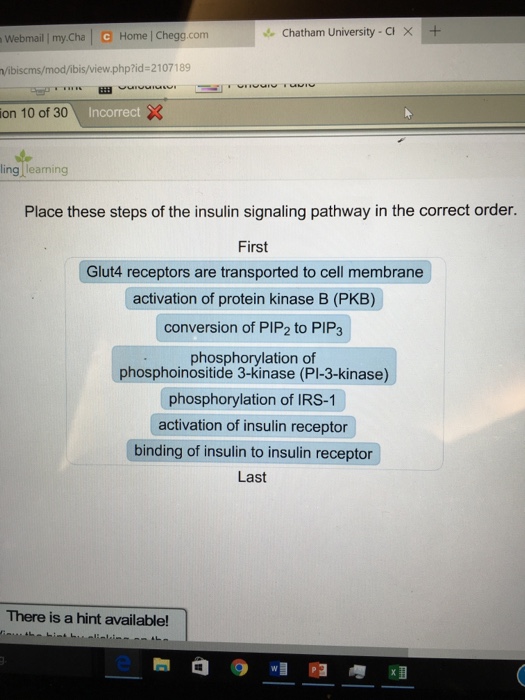 Solved Place these steps of the insulin signaling pathway in