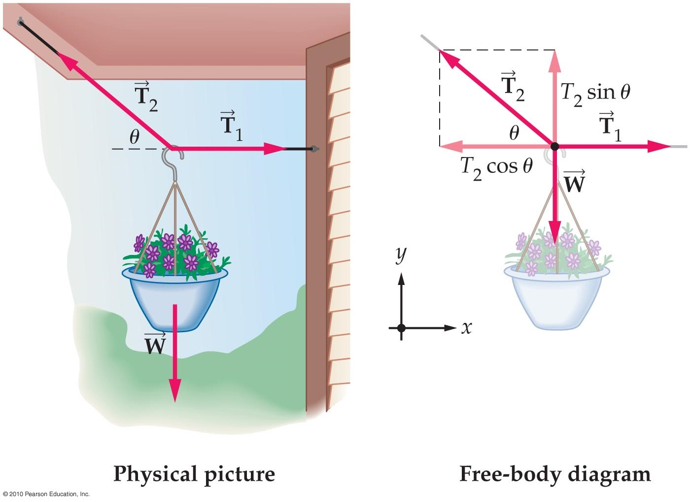 Solved to hang a 6.20kg pot of flowers, a gardener uses two