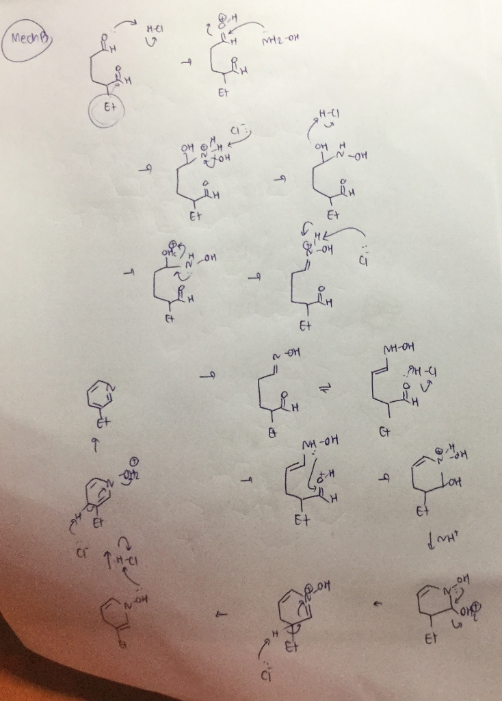 Solved Which Mechanism In This Problem Is Correct? A Or | Chegg.com