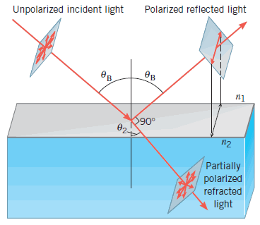 Solved In the figure, light strikes the surface of a liquid | Chegg.com