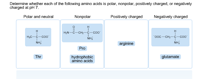 positively-charged-amino-acids-cloudshareinfo