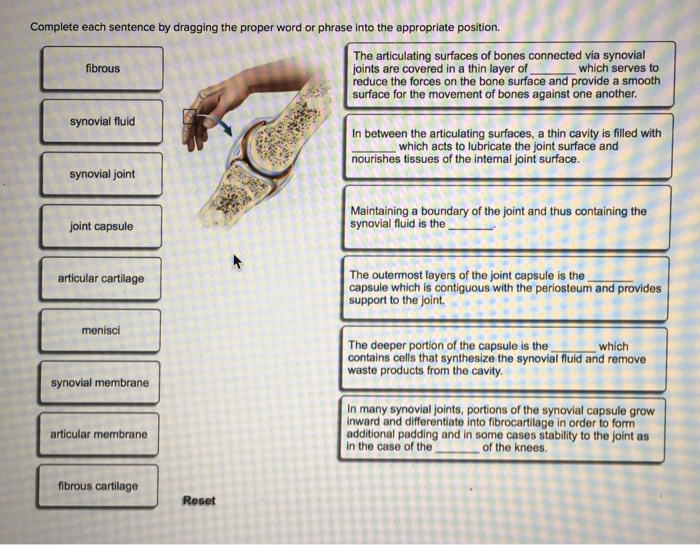 Solved Complete each sentence by dragging the proper word or