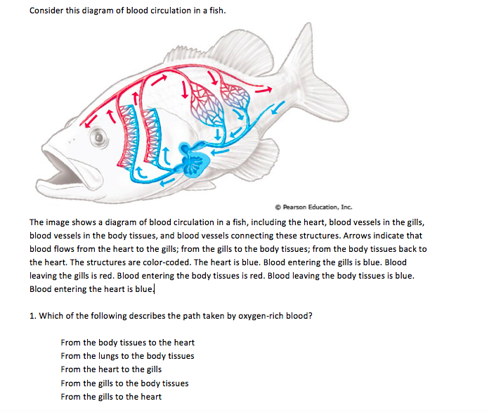 Solved Hi So Im A Little Confused On These Questions T