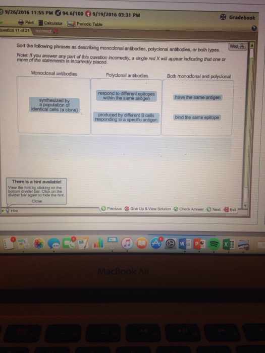 Solved Sort the following phrases as describing monoclonal | Chegg.com