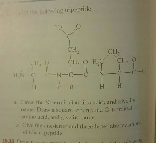 Solved er the following tripeptide: CH2 CH. CH, O CH, O HC | Chegg.com