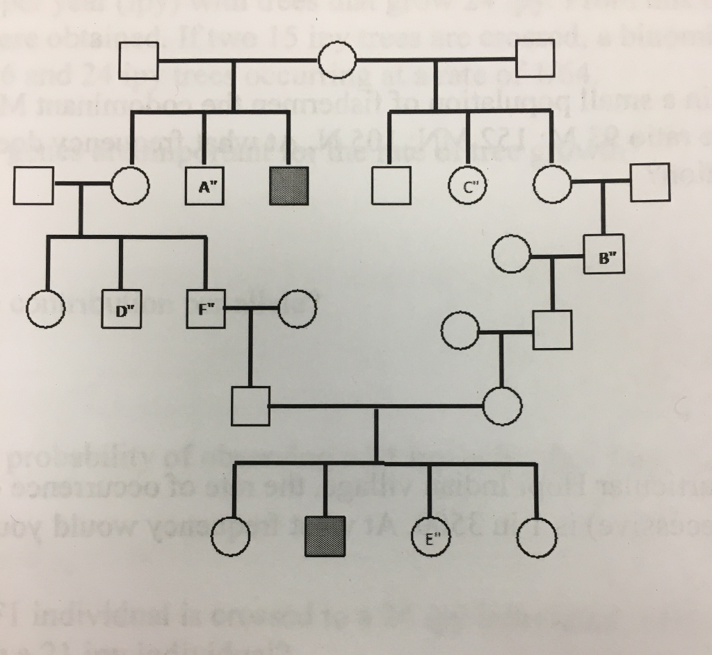 Solved Consider the following pedigree of a rare autosomal | Chegg.com