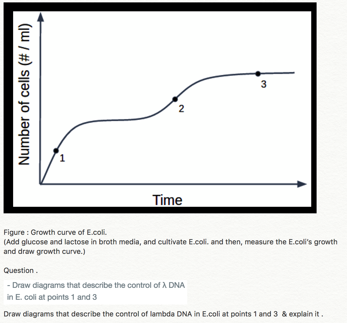 e.coli growth curve experiment