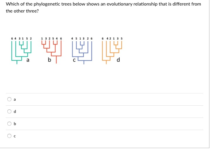 Solved Which of the trees below shows an