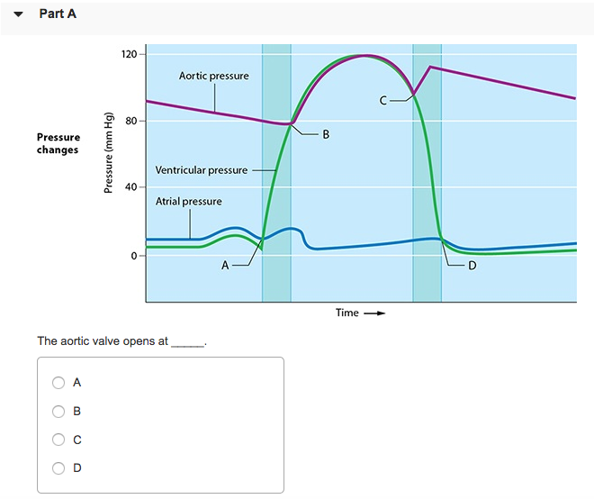 Solved Part A 120 Aortic pressure G80 Pressure S changes | Chegg.com