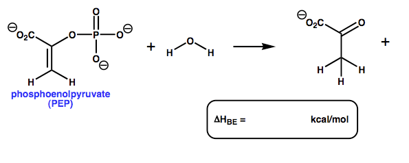 Phosphoenolpyruvate (PEP) is a high energy | Chegg.com