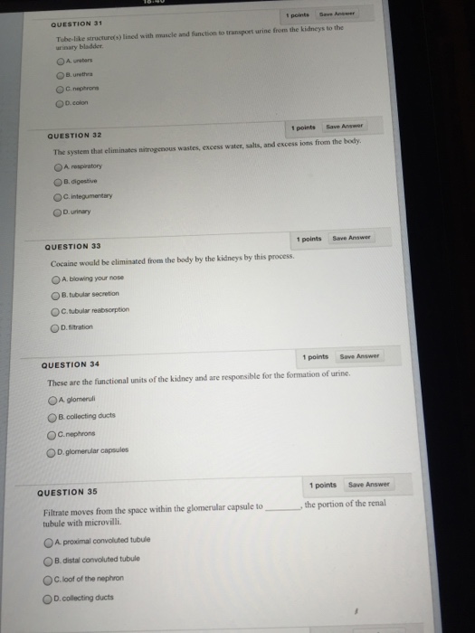 Solved 1 points Save Answer QUESTION 1 sages? whichofthe | Chegg.com