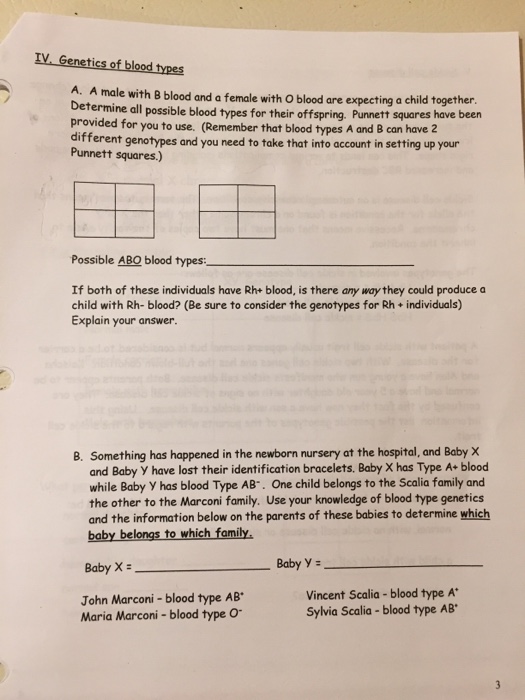 solved-a-male-with-b-blood-and-a-female-with-o-blood-are-chegg