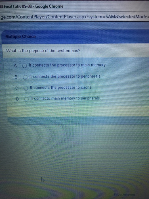 What Is The Purpose Of The System Bus