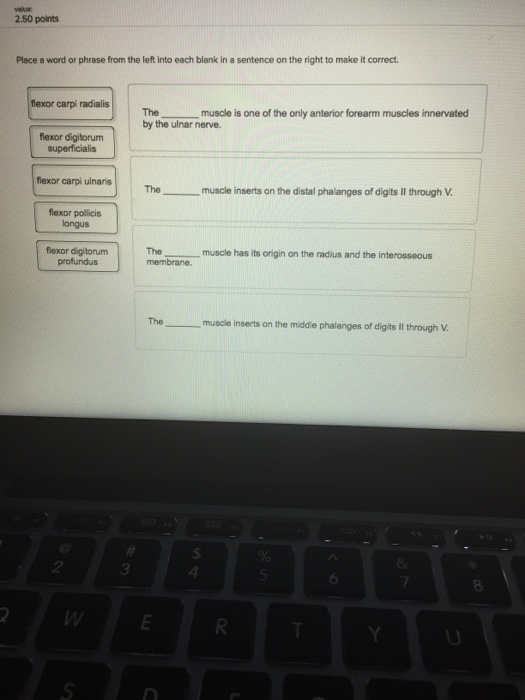Solved Place a word or phrase from the left into each blank