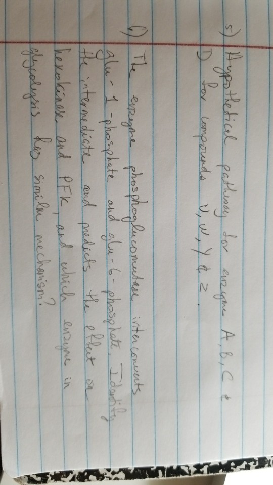 Solved 5 and 6 please | Chegg.com