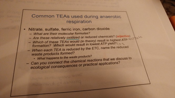 solved-common-teas-used-during-anaerobic-respiration-chegg