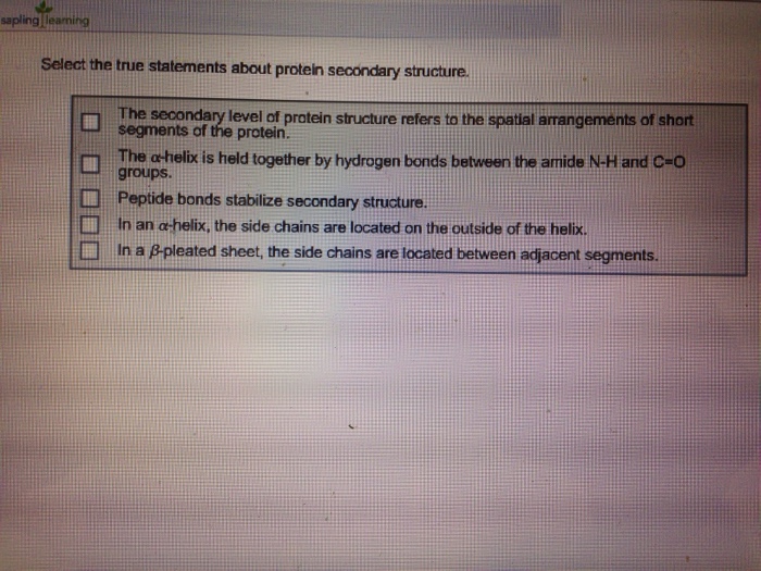 Solved Select the true statements about protein secondary