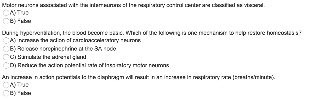 Solved Motor neurons associated with the interneurons of the | Chegg.com