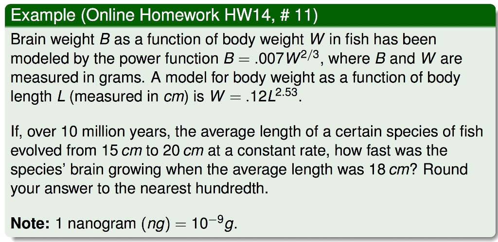 Solved Brain Weight B As A Function Of Body Weight W In Fish | Chegg.com