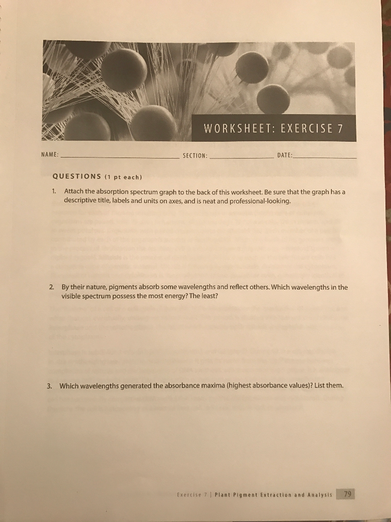 Solved WORKSHEET: EXERCISE 7 NAME: SECTION: DATE: QUESTIONS | Chegg.com