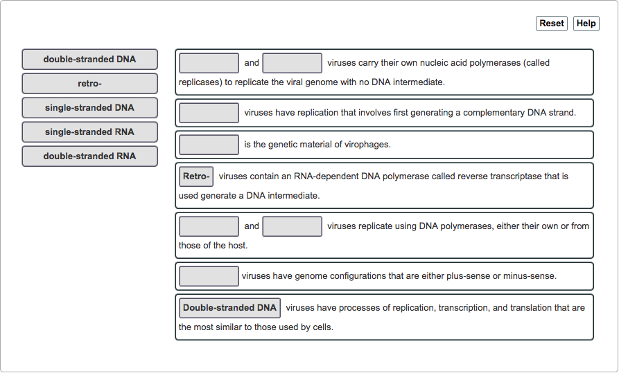 Solved ResetHelp doublestranded DNA and viruses carry their