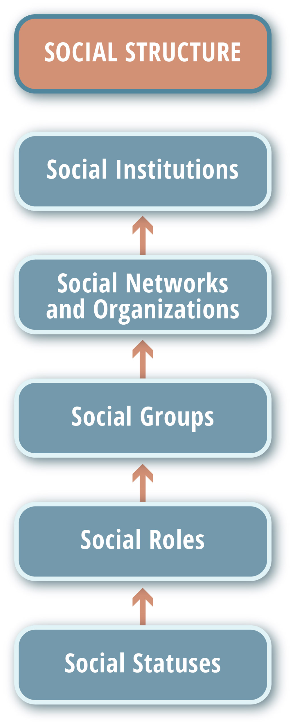 social-structure-of-a-social-institution