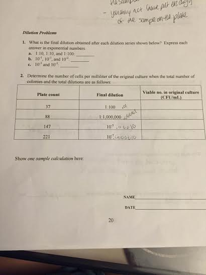 Solved Dilution Problems 1. What is the final dilution | Chegg.com