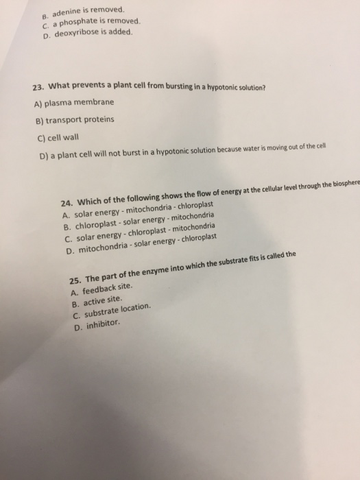 Solved: 1. The Circulatory System Of A Whale Is Considered... | Chegg.com
