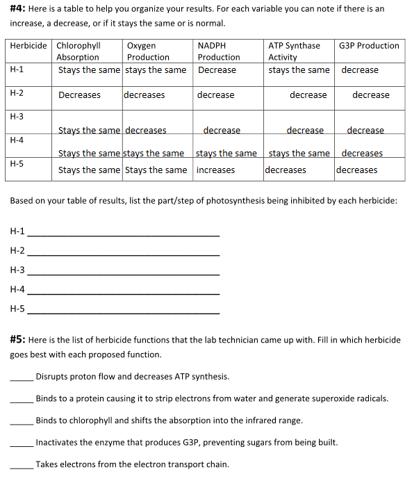 Atp Worksheet Answer Key