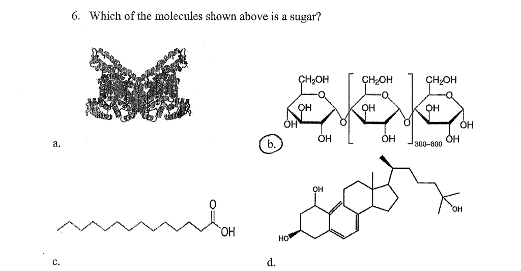 solved-why-b-is-sugar-and-what-is-c-and-d-why-how-to-chegg