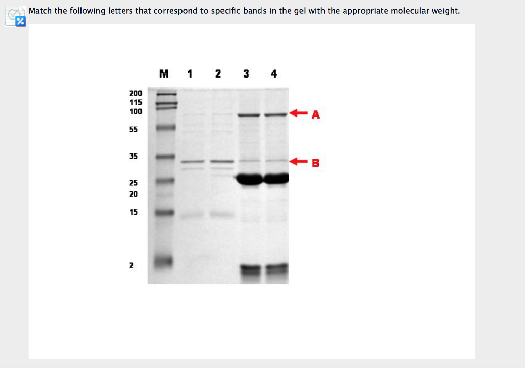 solved-match-the-following-letters-that-correspond-to-chegg