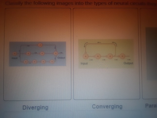 Solved Classify The Following Images Into The Types Of 7836