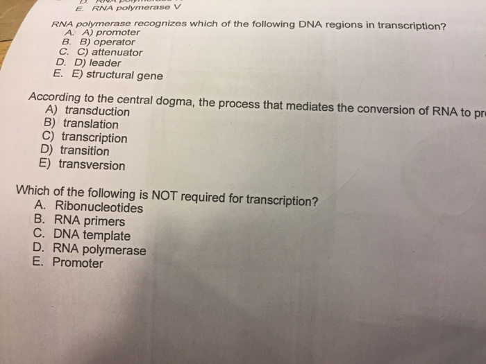 Solved RNA polymerase recognizes which of the following DNA