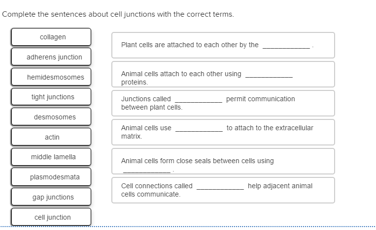 Solved Complete the sentences about cell junctions with the | Chegg.com