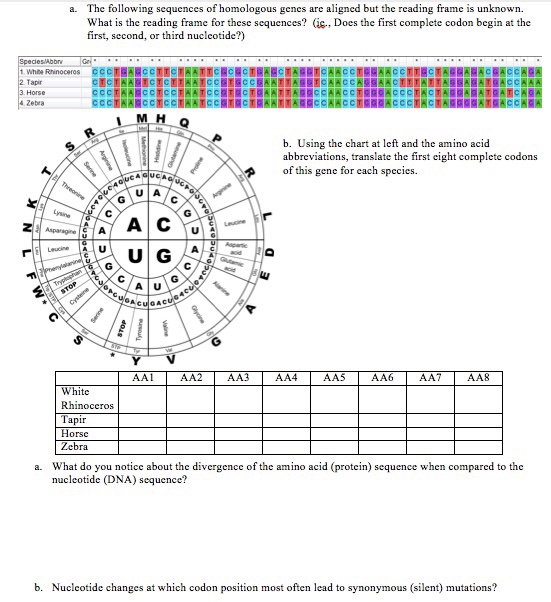 Solved The following sequences of homologous genes are | Chegg.com
