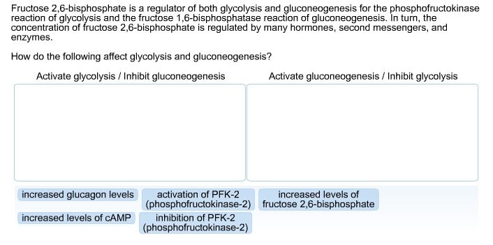 Bisphosphate 6 fructose 2