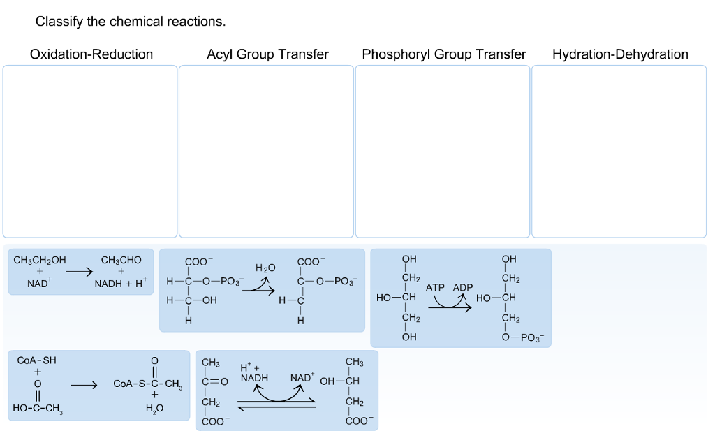 Classify The Chemical Reactions. | Chegg.com