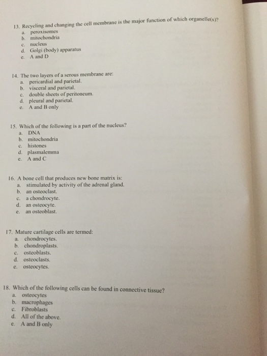 Solved Introductory 1. What is the major function of | Chegg.com