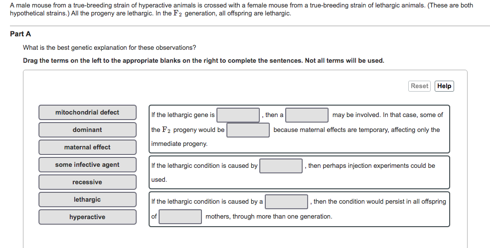 Solved Question | Chegg.com