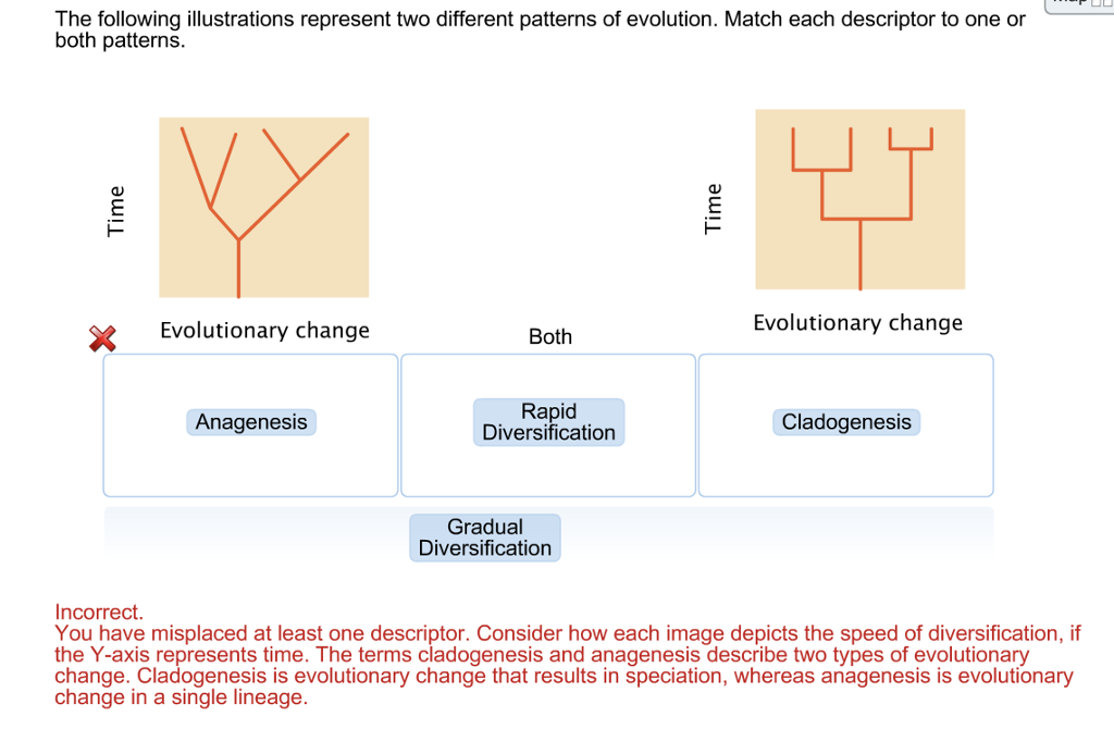 Solved The Following Illustrations Represent Two Different | Chegg.com