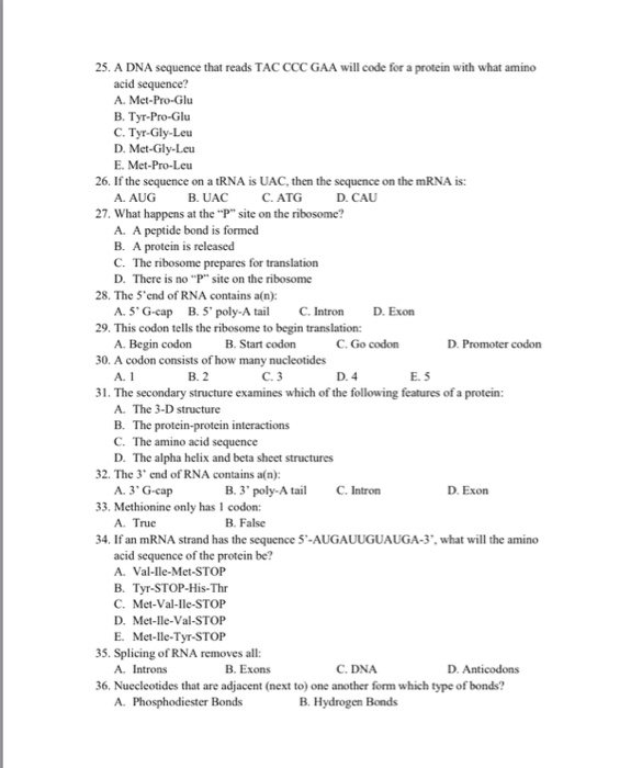 Solved A Dna Sequence That Reads Tac Ccc Gaa Will Code For A 