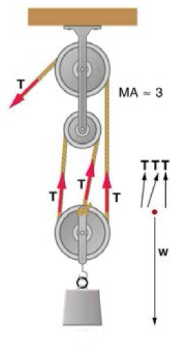 Solved Consider the pulleys, mass and rope shown in figure | Chegg.com