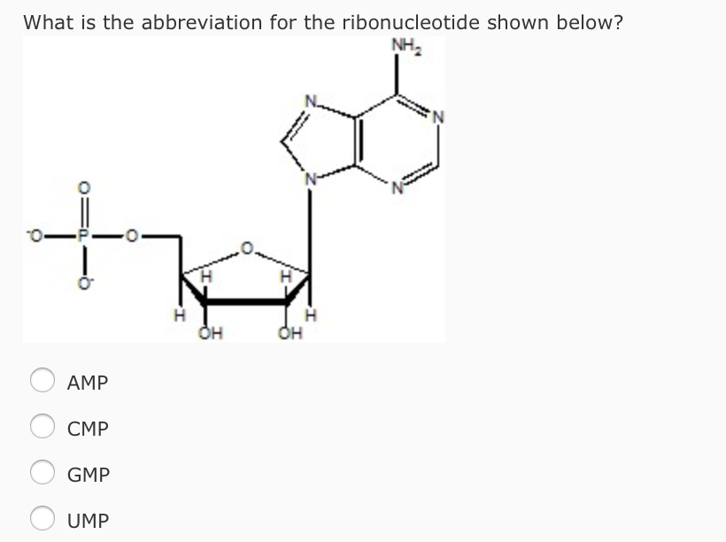 Solved What is the abbreviation for the ribonucleotide shown