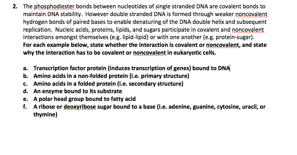 Solved 2. The phosphodiester bonds between nucleotides of | Chegg.com