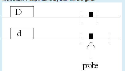 Solved The following diagram shows the genetic map of an | Chegg.com