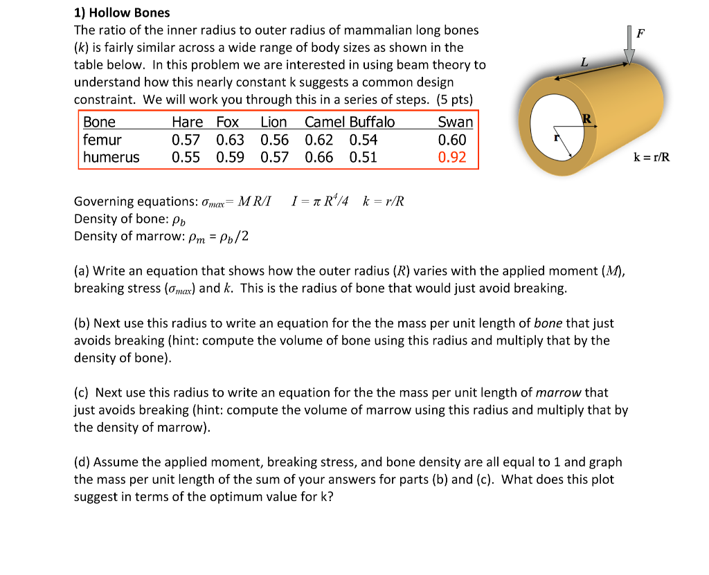 Solved 1 Hollow Bones The Ratio Of The Inner Radius To Chegg