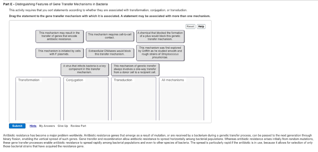 Solved Distinguishing Features of Gene Transfer Mechanisms | Chegg.com