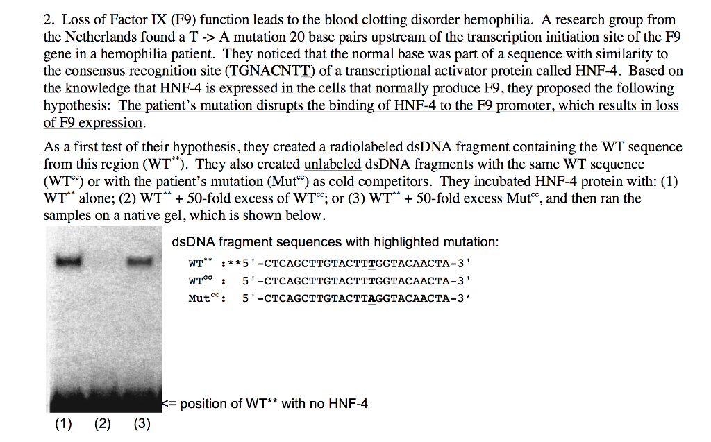 solved-2-loss-of-factor-lx-f9-function-leads-to-the-blood-chegg