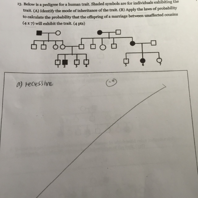 Solved 13. Below is a pedigree for a human trait. Shaded | Chegg.com