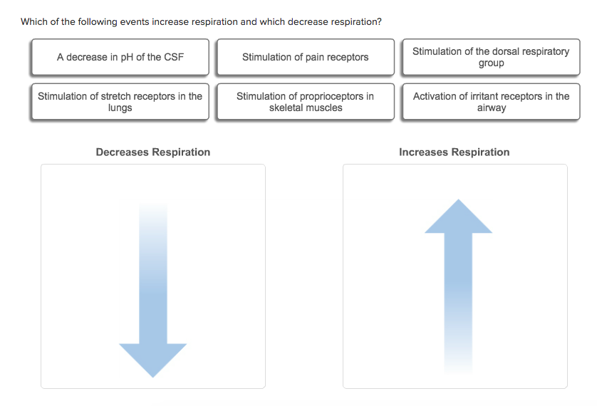 Solved Which of the following events increase respiration | Chegg.com